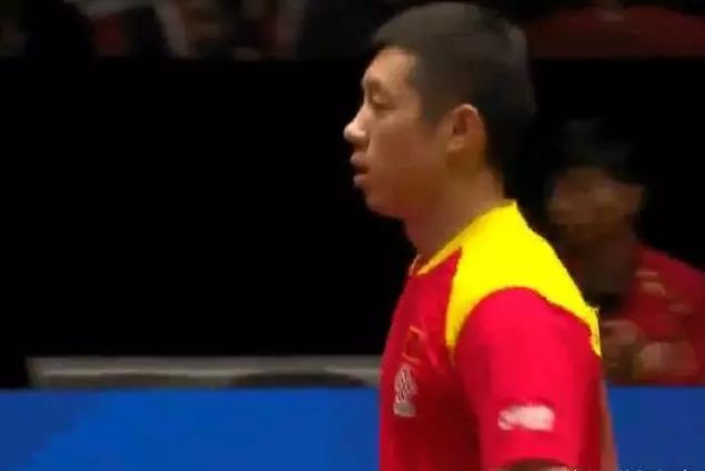 展区设置书 展区设置书